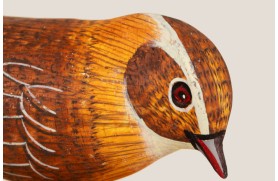 Carriça