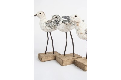 3 pássaros com base